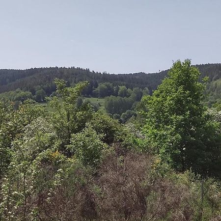 זול Sessles Waldhaeusschen Dietzhausen מראה חיצוני תמונה